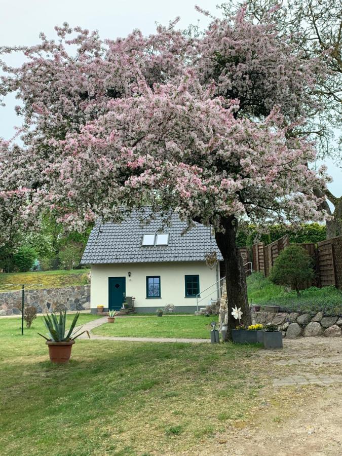 „Rentmeisterhaus Basedow“ Basedow  外观 照片