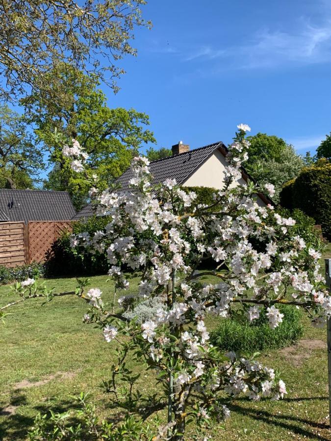 „Rentmeisterhaus Basedow“ Basedow  外观 照片